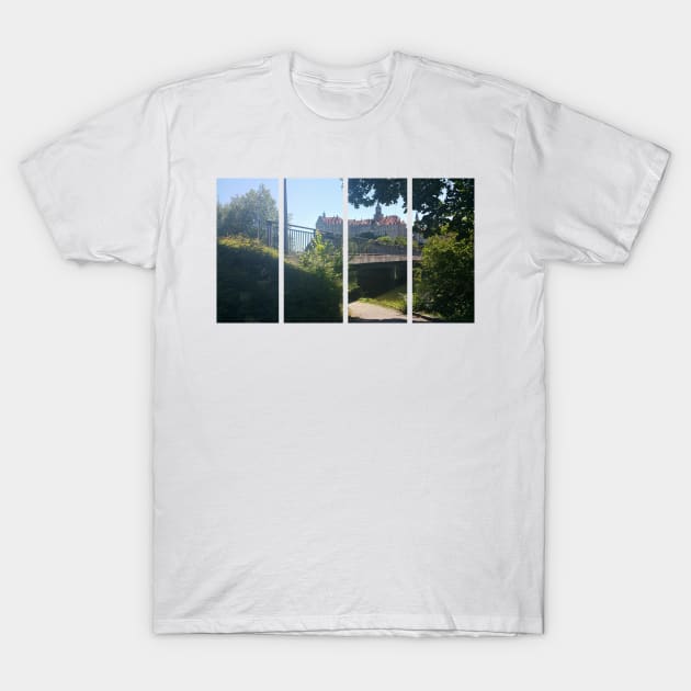 Sigmaringen castle in the Baden-Wurttemberg. Residence of the Hohenzollern earls and princes. It stands on the hill known as Castle Rock. Sunny summer day. Germany T-Shirt by fabbroni-art
